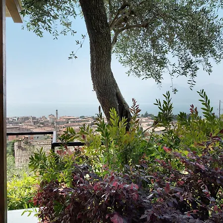 Villa Savi View And Pool Torri Del Benaco